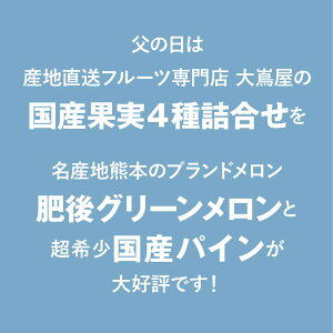 \最終受付15日9時まで/ 父の日 フルーツ ギフト 詰め合わせ 送料無料 旬果 4種 ギフトセット優雅(ゆうが) 国産 果物 プレゼント フルーツギフト 健康ギフト フルーツ詰め合せ 盛り合わせ 大嶌屋(おおしまや)