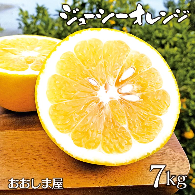 みかん ジューシーオレンジ 7kg 送料