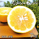 みかん ジューシーオレンジ 7kg 送料無料 ＜2024年4月上旬より出荷予定＞ 河内晩柑 文旦 熊本産 柑橘 果汁たっぷり 農家直送 フルーツ 果物 おおしまや