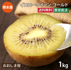 キウイ ゴールド 1kg 送料無料 ＜11月上旬より順次出荷＞ 国産 イエロークイーン さぬきゴールド キウイフルーツ 熊本産 農家直送 産地直送 フルーツ 果物 大嶌屋（おおしまや）