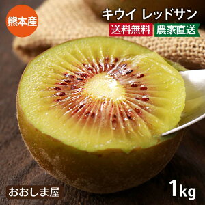 国産 キウイ レッドサン 1kg 送料無料 ＜11月中旬より順次出荷＞ 別名：レッドキウイ キウイフルーツ 紅妃 レインボー 赤い 熊本産 農家直送 産地直送 フルーツ 果物 大嶌屋（おおしまや）