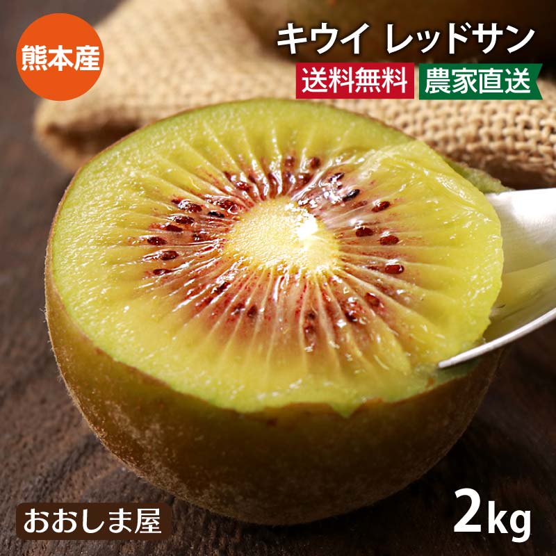 国産 キウイ レッドサン 2kg 送料無料 ＜11月中旬より順次出荷＞ 別名：レッドキウイ キウイフルーツ 紅妃 レインボー 赤い 熊本産 農家直送 産地直送 フルーツ 果物 大嶌屋（おおしまや）