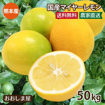 レモン 国産 50kg 送料無料 減農薬 ノーワックス ＜予約2022年9月下旬より順次出荷予定＞ 防カビ剤不使用 生産者直送 熊本産 マイヤーレモン メイヤーレモン 国産レモン 果物 フルーツ れもん 檸檬 柑橘 産地直送 大嶌屋（おおしまや）