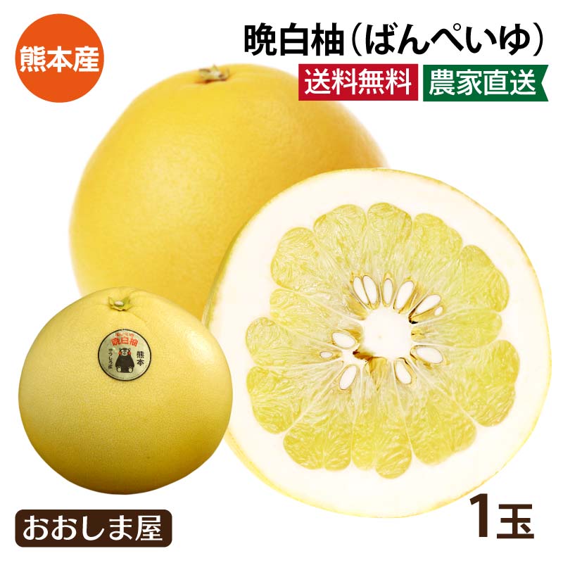 みかん バンペイユ 晩白柚 ばんぺいゆ 送料無料 ＜12月中旬より出荷＞（L-2Lサイズ 1玉入り） 熊本産 文旦 ざぼん ザボン 柑橘 ギフト お歳暮 フルーツ 果物 大嶌屋（おおしまや）【gift】のサムネイル
