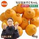 みかん 小玉 不知火 完熟 おでこちゃん 4kg 送料無料 小さい S～Mサイズ ちび玉 みかん デコポン と同品種 ミカン 訳あり 傷あり シミあり 不揃い 家庭用 農家直送 産地直送 食品 グルメ 果物 フルーツ