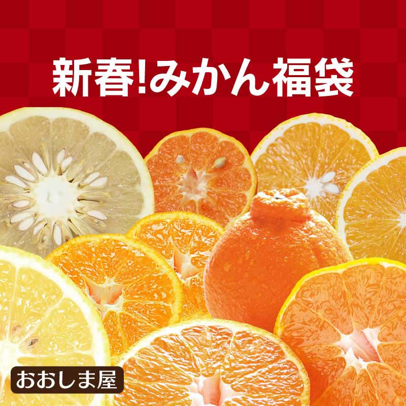 新春！フルーツ福袋みかん4種 4kg以上 送料無料 （おまかせ柑橘4種類） ＜1月下旬出荷＞ 2022 期間限定 新春初売り 新年 正月 ご家庭用