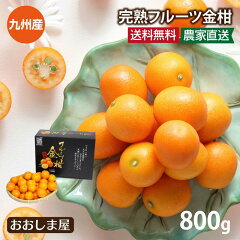 https://thumbnail.image.rakuten.co.jp/@0_mall/oshimaya-1991/cabinet/mikan/kinkan900g_1.jpg