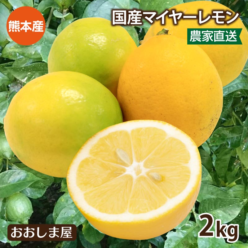 レモン 国産 2kg 送料別 減農薬 ノーワックス ＜出荷時期：9月下旬から3月頃まで＞ 防カビ剤不使用 生産者直送 熊本産 マイヤーレモン メイヤーレモン 国産レモン みかん 果物 フルーツ れもん 檸檬 柑橘 産地直送 大嶌屋（おおしまや）