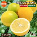 レモン 国産 5kg 送料無料 減農薬 ノ