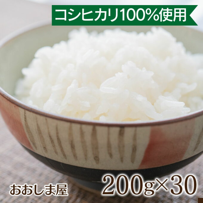 パックご飯 200g×30食 送料無料 大盛 石川県産 米 国産米 乳酸菌 善玉菌入り 保存食 常温保存 アウトドア 大量 健康 大嶌屋（おおしまや） 楽天スーパーSALE スーパーセール