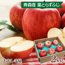 青森 りんご スマートフレッシュ 葉とらず ふじりんご 2kg（5〜9玉前後）大小混合 農家直送 送料無料 果物 フルーツ 大嶌屋（おおしまや）