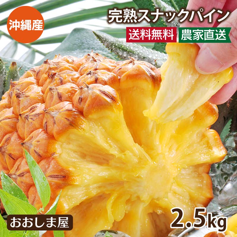 パイナップル 送料無料 沖縄 スナックパイン 2.5kg （約2玉-9玉入り）＜5月上旬より順次出荷＞ 国産 パイン ボゴール…