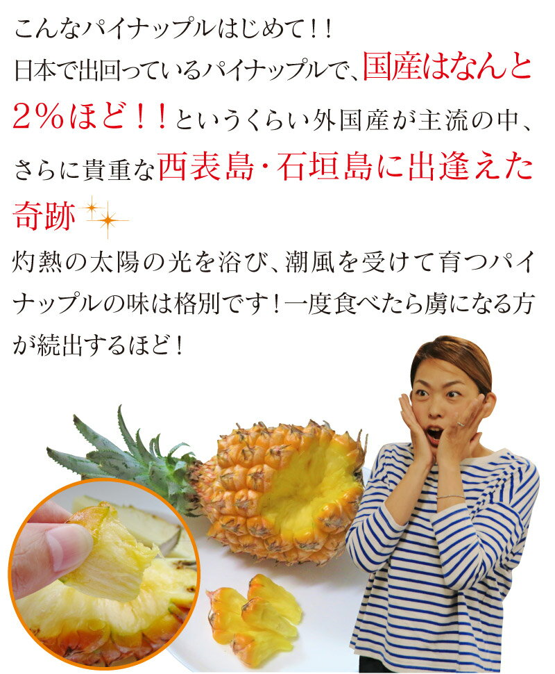 �ѥ��ʥåץ� ����̵�� ���� ���ʥå��ѥ��� 2.5kg ����2-9������ˡ�4��ܤ��缡�в١� �� �ѥ��� �ܥ�����ѥ��� ��ѥ��� ���� �г��� ��ɽ ��ʪ �ե롼��