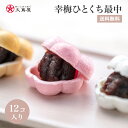 京都 祇園 あの ん あん ぽーね (10個用) あのん あんぽーね 粒あん マスカルポーネ 最中 和菓子 高級 もなか つぶあん モナカ 餡子 あんこ 贈り物 お菓子 贈答用 ギフト 上品 お供え菓子 お土産 手土産 お取り寄せ スイーツ 挨拶 お祝い 京都 銘菓 京都名物