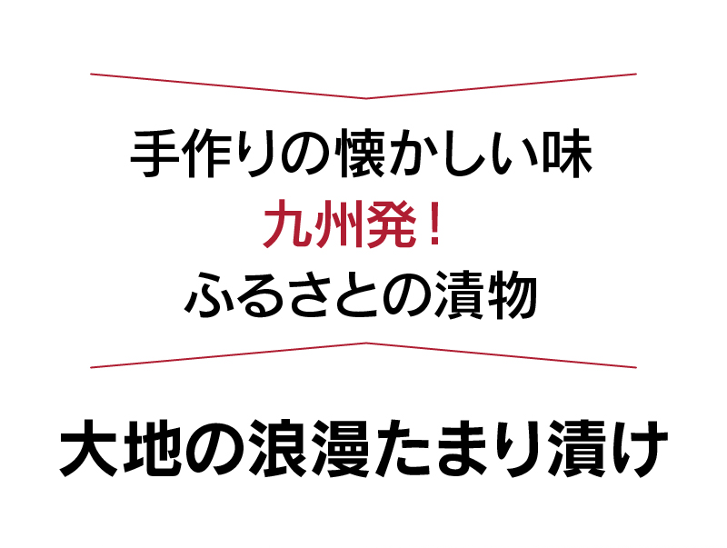 漬物 漬け物 大地の浪漫 たまり漬け 2袋 1000円ポッキリ 送料無料 ＜メール便＞ 九州 鹿児島 国産 寒干し 沢庵 大根 たくあん 大嶌屋（おおしまや） ポイント消化【mail】