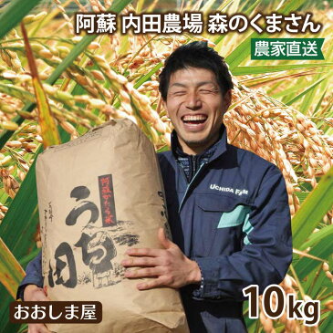 お米 内田農場 のお米 1袋 10kg 森のくまさん 阿蘇 熊本県産 米 白米 国産米 農家直送 送料無料 大嶌屋(おおしまや)