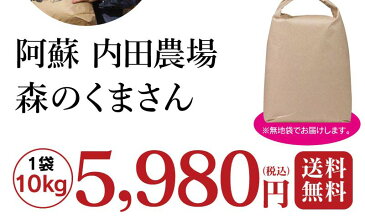 お米 内田農場 のお米 1袋 10kg 森のくまさん 阿蘇 熊本県産 米 白米 国産米 農家直送 送料無料 大嶌屋（おおしまや）