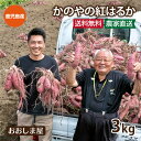 かのやの 紅はるか 鹿児島県産 3kg 送料無料 さつまいも サツマイモ べにはるか 芋 鹿屋 南橋農場 農家直送 産地直送 おおしま屋