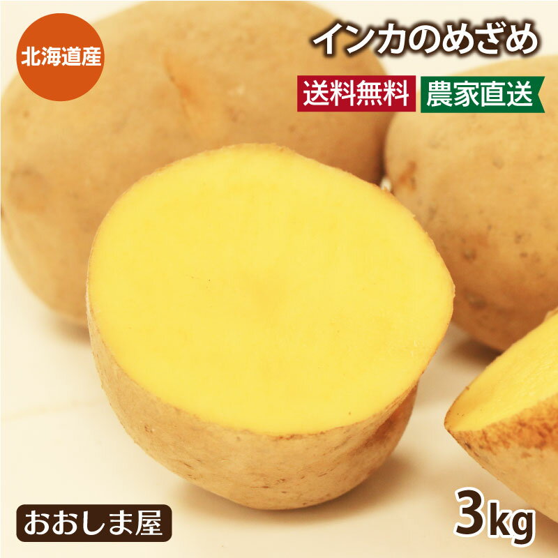 北海道ジャガイモ インカのめざめ 3kg（30玉前後）＜7月下より順次出荷予定＞ 送料無料 いも 芋 じゃがいも 新じゃが 農家直送 大嶌屋（おおしま屋）