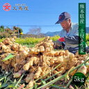 生姜 5kg 送料無料 新生姜 熟成生姜 ひね生姜 ショウガ しょうが 土付き 露地栽培 <11月上旬頃より出荷> 薬味 調味料 手作り 料理 レシピ 酢漬け 漬物 産地直送 農家直送 国産 野菜 食品 グルメ