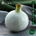 たまねぎ 塩たまちゃん 4kg 送料無料 <4月上旬より出荷予定> 玉葱 タマネギ 塩たま 塩玉ちゃん 塩たまねぎ 熊本産 産地直送 農家直送 子出藤 ねでふじ