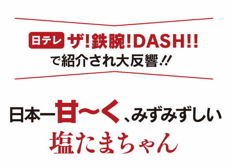 たまねぎ 塩たまちゃん 4kg 送料無料 ＜3月上旬より出荷予定＞ 玉葱 タマネギ 塩たま 塩玉ちゃん 塩たまねぎ 熊本産 産地直送 農家直送 子出藤 ねでふじ 2