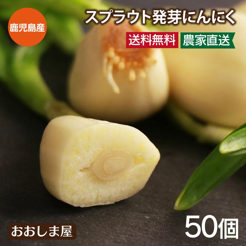 にんにく スプラウにんにく 50個(10個×5袋) ＜送料無料＞ 鹿児島県霧島産 発芽にんにく 生 ニンニク 発芽ニンニク スプラウトニンニク 野菜 川越農園 農家直送 大嶌屋（おおしまや）