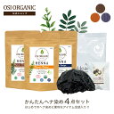 【☆母の日クーポンあり☆】OSI ORGANIC ハラールヘナ HALAL HENNA 100g/3.6oz はじめてセット 初心者用 ヘナ染まーる付 ヘナ潤オ...
