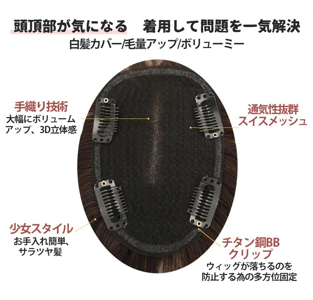 ウィッグ 部分かつら 人毛100％ ボリュームアップ 分け目 薄毛隠し つけ毛 白髪 女性 カツラ ウイッグ ポイントウイッグ 増毛部分かつら 部分ウィッグ 自然 リアル人工頭皮 分け目 隠し ヘアピース 白髪隠し 頭頂部カバー 薄毛対策 トップカバー レデイーズ