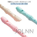 送料無料 リコーダー フルート 小学校 お子様用 玩具 掃除棒付き おもちゃ 子供用 キッズ 楽器 男の子 女の子 ソプラノリコーダー スケルトンタイプ
