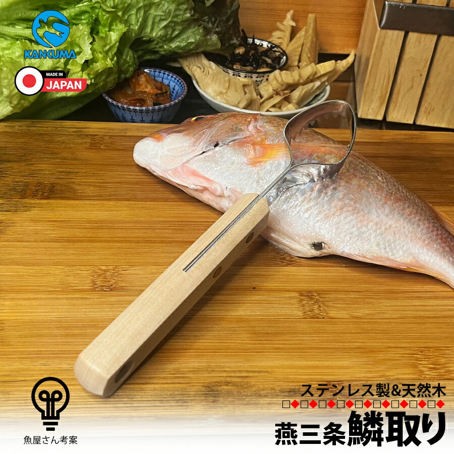 日本製 燕三条 魚屋さん考案 鱗取り 鱗とり 鱗 うろこ取り ステンレス 魚 傷つけない 目詰まりしない 洗いやすい 捌く 魚さばき 釣り 魚料理 魚調理 調理器具 厨房 キッチン雑貨 キッチン用品 キッチンツール 三枚おろし 業務用 家庭用 カンダ kan 000097 配送区分N 1