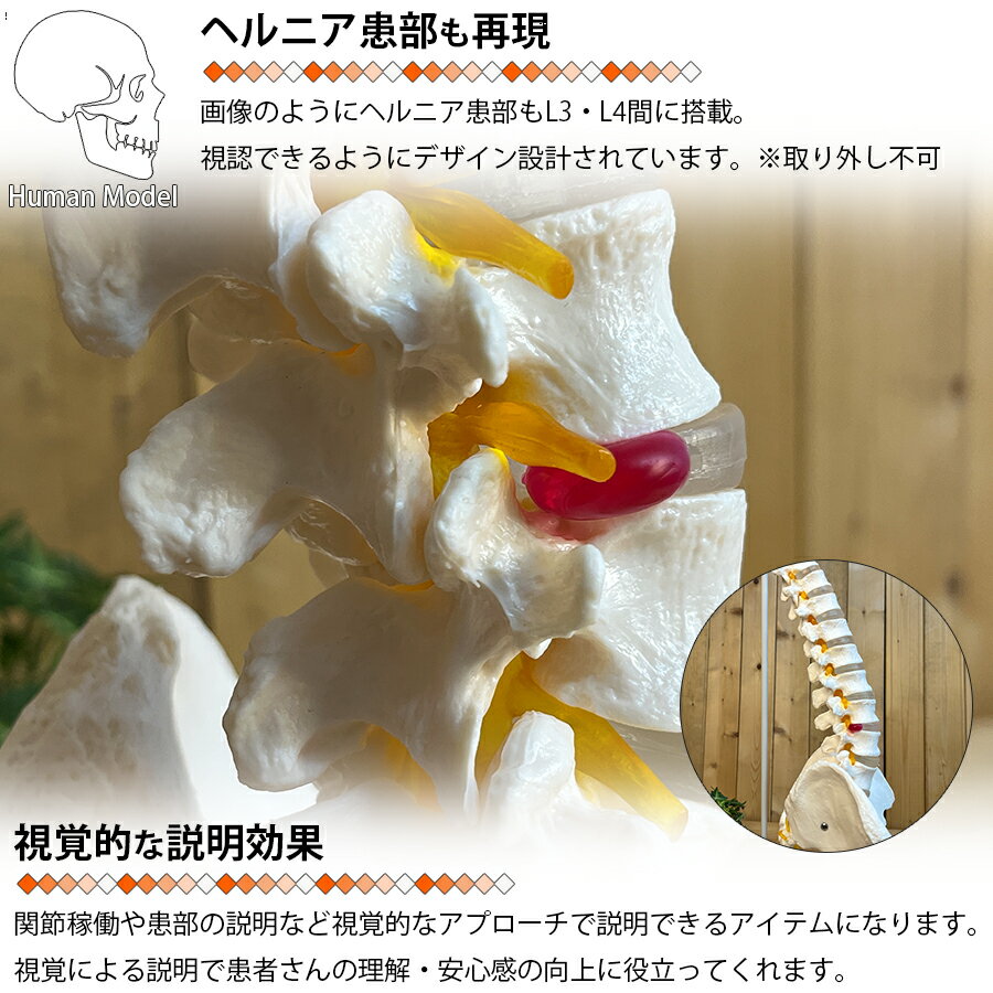 �����Ϸ� �� ������ ���� �Ϸ� ��ʪ�� 90����� �Կ�����Ϸ� �Դ��� �����ư �إ�˥����� �Կ���к� �ǹ�ư̮ �Ǵ��� ���� ���󤿤� �Ϸ� ������ ������� ���� LB-228 ��ʬ100S