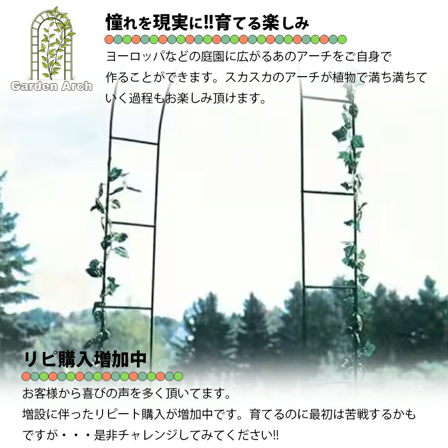 �����ǥ󥢡��� ������ �������� ������ �Х饢���� �ե������� �����ǥ˥� �� �����ǥ˥� ������� ���� ��� �����ڱ� �������ƥꥢ �����ǥ˥� �� �Ȥ�Ω�� ��ñ �ե������� ������������ DIY �� ������ �Х� �ڱ� �̼�ê LB-267 ��ʬ60S