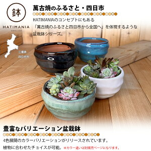 HATIMANIA 盆栽鉢 3号 1006W 鉢マニア グリーン 鉢づくし ミニ盆栽 多肉植物 エケベリア セダム 植木 穴あき 観葉直物 土植え 丸型 コンパクト 父の日 プレゼント ミニ盆栽 Sサイズ インテリア サボテン 母の日 円形 鉢植え 区分60Y GR104-3