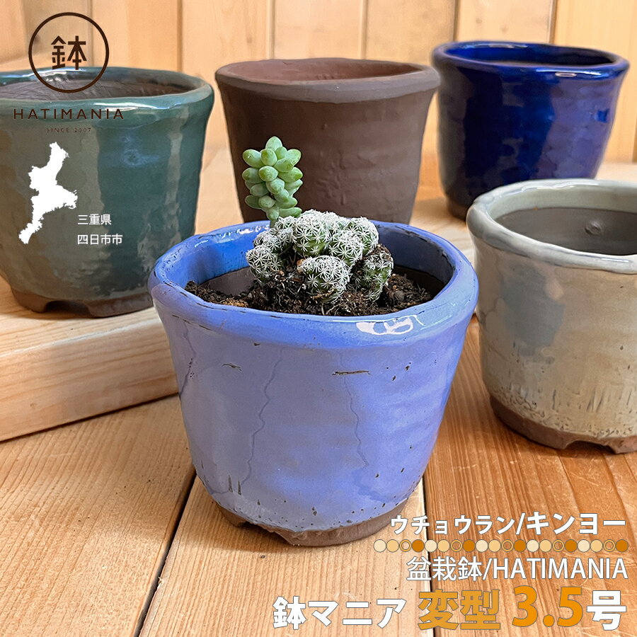 楽天市場】盆栽 鉢 マニアの通販