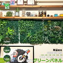 壁掛け ウォールグリーン 50×50cm 1枚 グリーンパネル フェイクグリーン 壁面緑化 ポスター 造花 人工植物 店舗 観葉植物 壁飾り 模様替え フェンス...