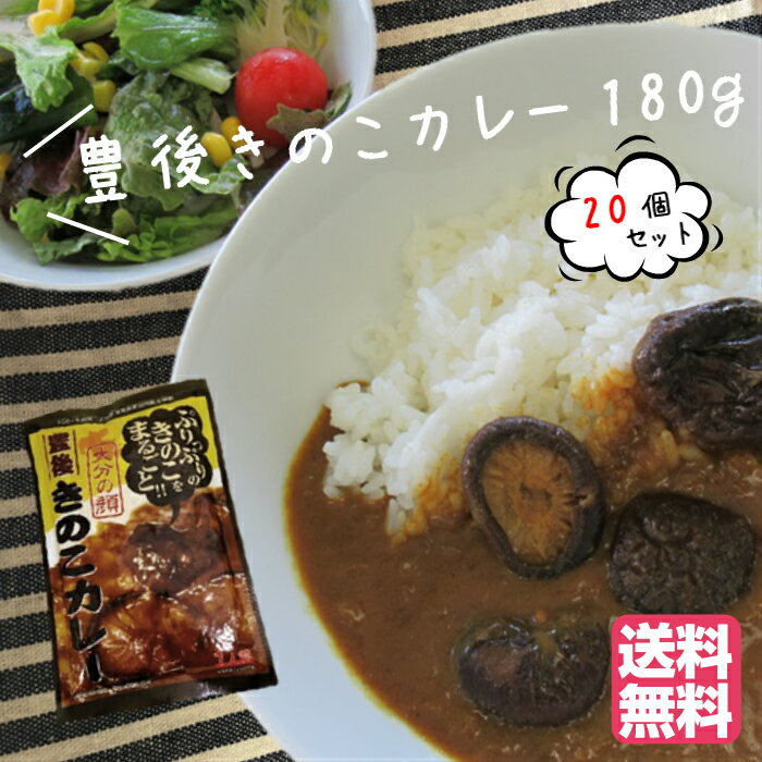 【送料無料】大分県産乾しいたけ 加工品　豊後きのこカレー20個セット（お買得）