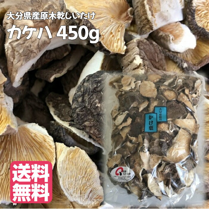 大分産 どんこ椎茸 天日干し仕上げ(55g) (YT-15) [キャンセル・変更・返品不可]