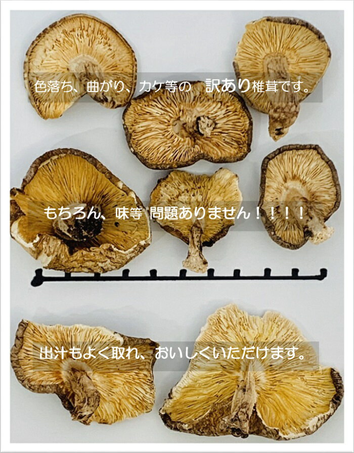 【送料無料】大分県産乾しいたけ お徳用椎茸500g 訳あり(曲がり、色落ち、欠け等) 2