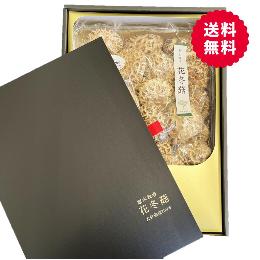 産地直送！大分県産原木乾しいたけ『花どんこ310g』(OH-100)【送料無料】