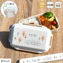 日本製 ドーム型 弁当箱 500mL 食洗機対応 抗菌 1段 お弁当箱 盛れる プラスチック 乾燥機対応 電子レンジ対応 レンジ対応 仕切り付 パッキン付 4点ロック ランチボックス 高校生 大人用 大人 盛り弁 かわいい hedgehog(ハリネズミ) | OSK HH PCD-500