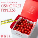 OSMIC FIRST PRINCESS 500g OSMICトマト オスミックファースト オスミックトマト ご家庭向け大容量