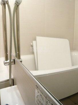 業務用 水垢除去クレンザー+水垢取り酸性ジェルの100mlセット 水垢 鏡 水アカ 水垢落とし お風呂 ドア ステンレス ウロコ取り バスタブクレンジング 浴室 浴槽 風呂 蛇口 トイレ 便器 車 シンク ガラス 大掃除