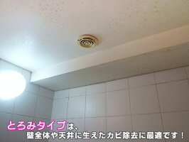 業者おすすめ,カビ取り洗剤,業務用かび取りジェル,カビ取りスプレー,ハイターで落ちない,かびとりいっぱつ,壁,畳,洗濯機,浴室,布,フローリング,マットカーテン,布団のカビ落とし,カビとり剤ランキング