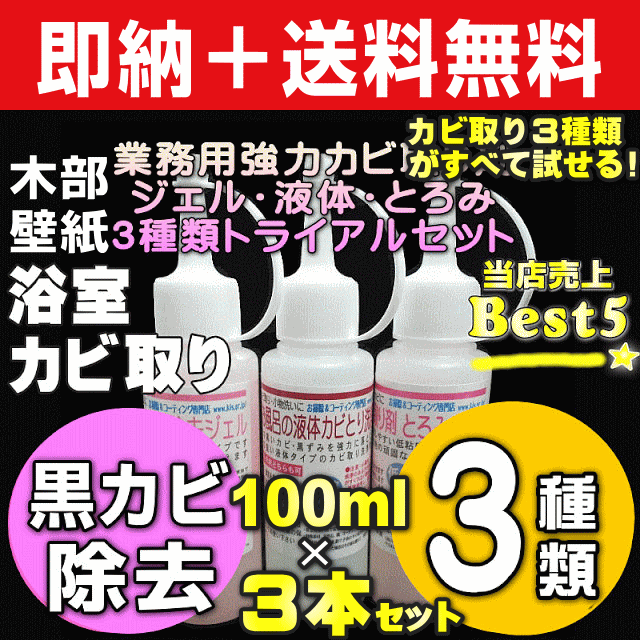 大掃除応援クーポン お掃除kis 送料無料 業務用カビ取り剤 高濃度 強力カビ取り洗剤 浴室 お風呂 カビ取り一発 カビ取りジェル かびとりいっぱつ 目地 パッキン 天井 壁紙 壁クロス カビキラー カビハイターで落ちないカビに プロ用カビ取り剤 トライアルセット