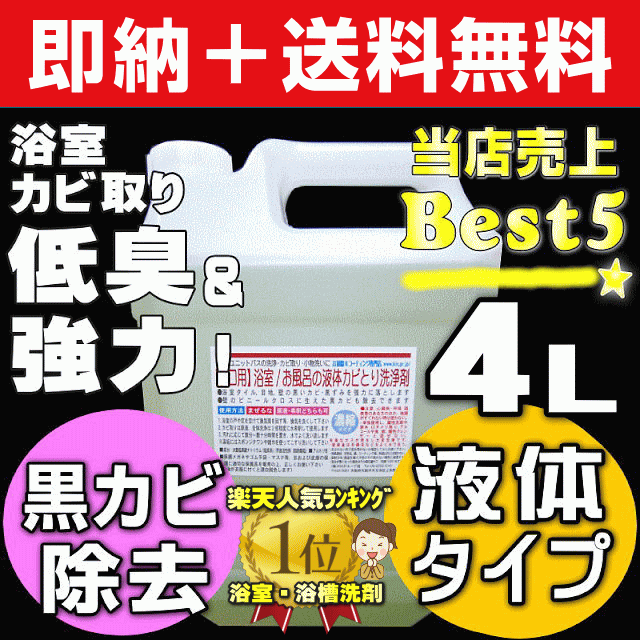 業務用洗剤 掃除用品 掃除用洗剤 クリーナー ハウスクリーニング 業務用カビ取り剤 カビ取りジェル カビ取りスプレー 壁 浴室