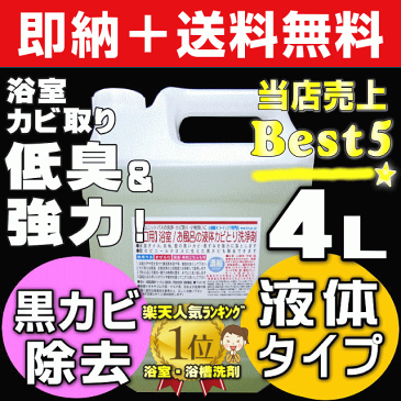 【大掃除準備クーポン＠お掃除KIS】送料無料 業務用カビ取り剤 大掃除 浴室 風呂 壁紙 壁クロス カビ取り 強力 ぬめりとり バス お風呂洗剤 お風呂掃除 カビキラー カビハイターより低臭で安全 カビとり カビ取り一発 かびとりいっぱつ プロ用液体カビ取り洗浄剤4L