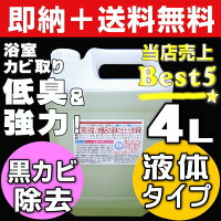 業者おすすめ,カビ取り洗剤,業務用かび取りジェル,カビ取りスプレー,ハイターで落ちない,かびとりいっぱつ,壁,畳,洗濯機,浴室,布,フローリング,マットカーテン,布団のカビ落とし,カビとり剤ランキング