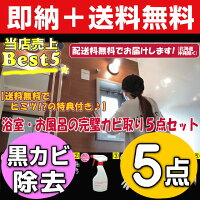 業者おすすめ,カビ取り洗剤,業務用かび取りジェル,カビ取りスプレー,ハイターで落ちない,かびとりいっぱつ,壁,畳,洗濯機,浴室,布,フローリング,マットカーテン,布団のカビ落とし,カビとり剤ランキング