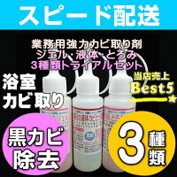 業者おすすめ,カビ取り洗剤,業務用かび取りジェル,カビ取りスプレー,ハイターで落ちない,かびとりいっぱつ,壁,畳,洗濯機,浴室,布,フローリング,マットカーテン,布団のカビ落とし,カビとり剤ランキング